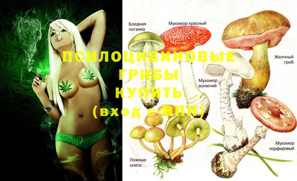 MESCALINE Сосновоборск