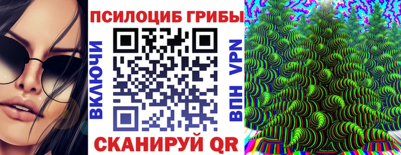 Галлюциногенные грибы Psilocybe  Волчанск 